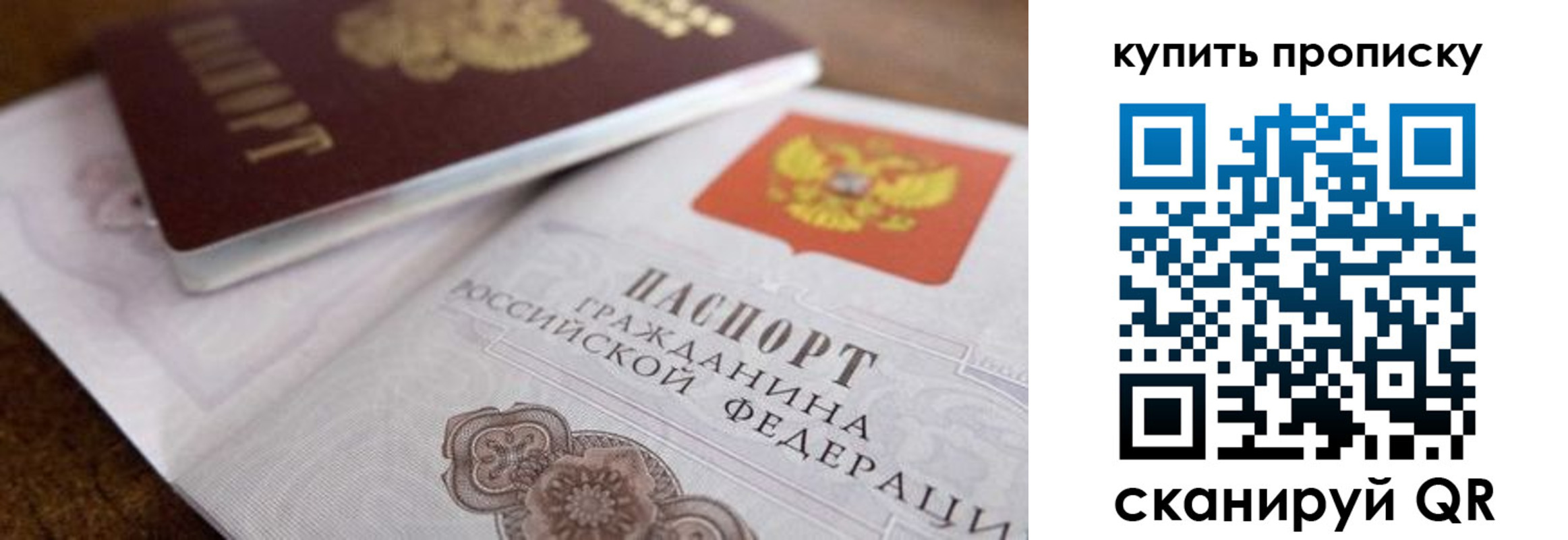 прописка гарантия в Амурске